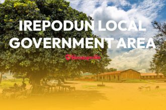 IREPODUN LGA